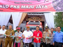 Terapkan GAP dan Bibit Unggul, Plasma Wilmar Panen Lebih Cepat