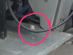 1 Penumpang Terluka Usai Pesawat Trigana Air Ditembaki KKB di Yahukimo