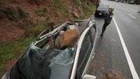 Ngeri! Gegara Badai Batu-batu Ini Jatuh Timpa Mobil