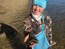 Sedang Liburan Natal, Bocah Ini Temukan Gigi Megalodon