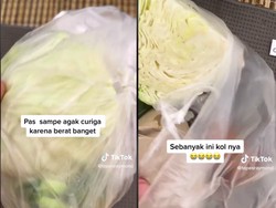 Ngakak! Minta Banyak Kol untuk Lalapan, Pria Ini Malah Diberi Sebonggol