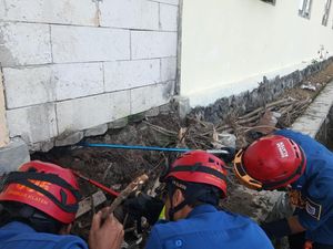9 Anakan Kobra Jawa Ngumpet di Gedung Sekolah Klaten