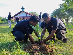 Hari Sejuta Pohon, Relawan Ganjar Tanam 5 Ribu Bibit Pohon di NTT