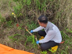 Potongan Tengkorak Manusia Ditemukan di Kebun Karet di Jambi