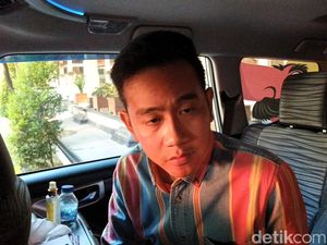 Gibran ke Jakarta Terkait Heboh Isu Pilgub? Begini Jawabnya