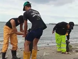 Terinspirasi Pandawara, Anak-anak Muda Ini Singkirkan Sampah Pantai Jakut