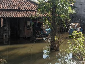 Banjir Sejak Akhir Tahun, Sejumlah Wilayah di Demak Masih Tergenang