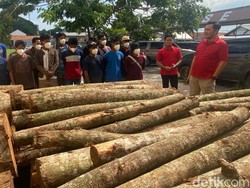 15 Pelaku Pembalakan Liar di Waduk Jatibarang Semarang Ditangkap
