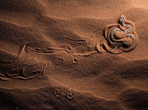 Jawara Kontes Foto Close-up Bikin Mata Terpukau