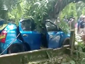 Tragis Pohon Tumbang Tewaskan Pengendara Mobil di Gowa Tragis Pohon Tumbang Tewaskan Pengendara Mobil di Gowa