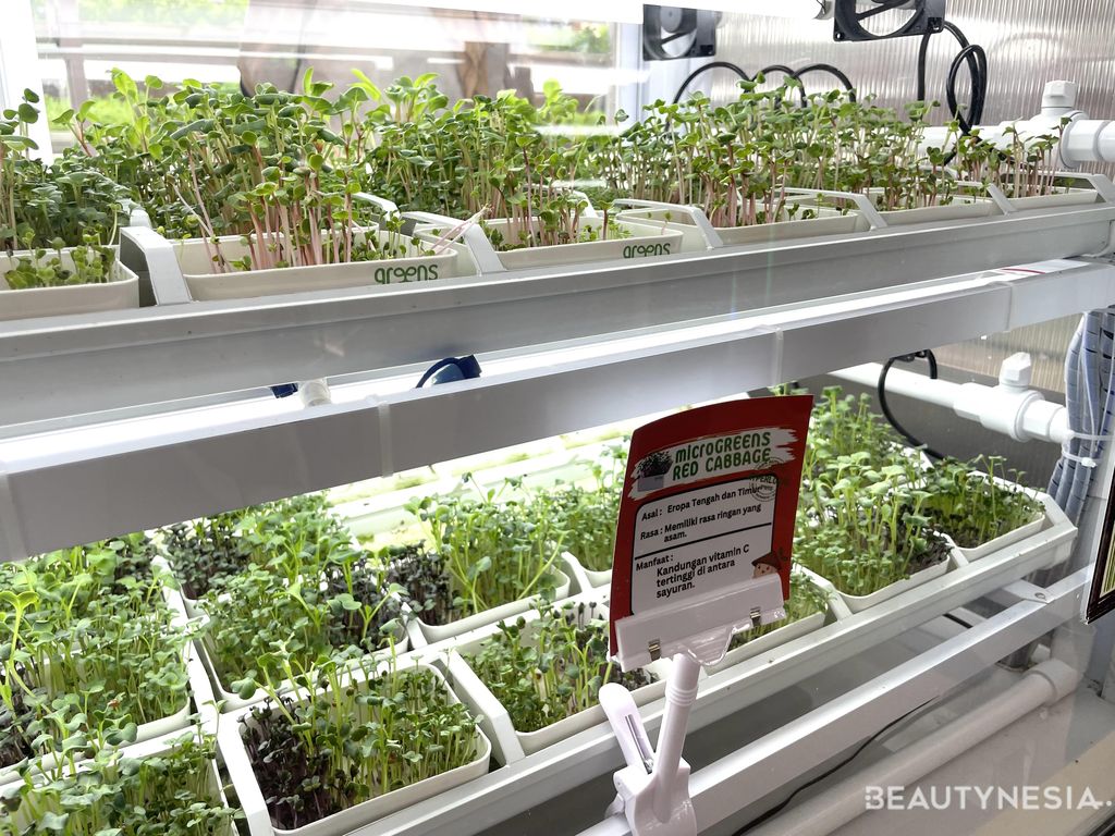 GREENS Hyperlocal Metafarming Station di Plaza Indonesia
