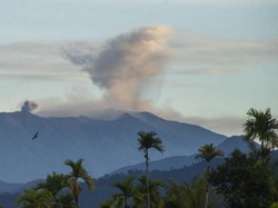 Capai 1.000 Meter, Abu Letusan Gunung Marapi Hari Ini Tertinggi Sejak Erupsi