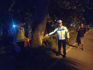 Mobil Tabrak Pohon di Ngawi hingga 5 Orang Tewas, 2 Teridentifikasi Mobil Tabrak Pohon di Ngawi hingga 5 Orang Tewas, 2 Teridentifikasi