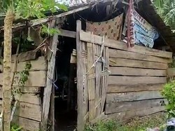 Pilu Wanita di Mamuju 10 Tahun Tinggal di Rumah Reot Bareng 2 Anaknya