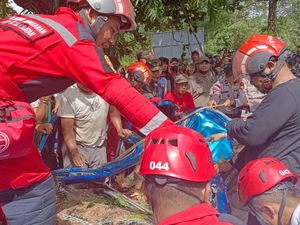 Pohon Timpa Mobil di Gowa, Pengendara Terjebak Ditemukan Tewas