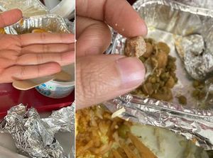 Ngeri! Wanita Ini Temukan Batu Kecil di Makanan Pesawat Miliknya
