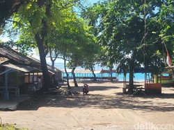 Detik-detik Keributan di Pasar Monyet, Berawal dari Joget dan Miras