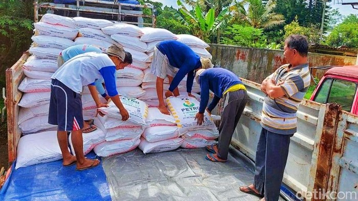 pupuk subsidi banyuwangi pupuk subsidi banyuwangi