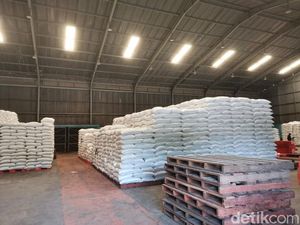 Buwas Janji Bulog Serap 1 Juta Ton Beras Petani Saat Panen Raya