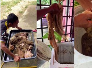 Cuci Jeroan dan Masak Jeroan, Orang-Orang Ini Pakai Mesin Cuci