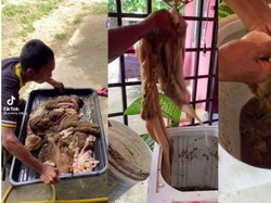 Cuci Jeroan dan Masak Jeroan, Orang-Orang Ini Pakai Mesin Cuci