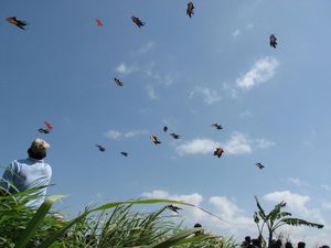 Sejarah hingga Jenis-jenis Layangan Tradisional Bali Sejarah hingga Jenis-jenis Layangan Tradisional Bali