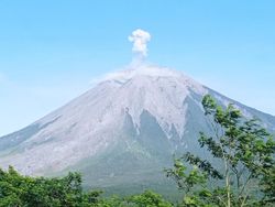 PVMBG Catat Semeru Erupsi Dua Kali Pagi Ini, Berikut Rinciannya