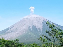 PVMBG Catat Semeru Erupsi Dua Kali Pagi Ini, Berikut Rinciannya