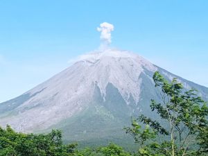 PVMBG Catat Semeru Erupsi Dua Kali Pagi Ini, Berikut Rinciannya PVMBG Catat Semeru Erupsi Dua Kali Pagi Ini, Berikut Rinciannya