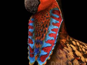 Ini Hewan-hewan yang Paling Rentan Punah karena Perubahan Iklim Ini Hewan-hewan yang Paling Rentan Punah karena Perubahan Iklim