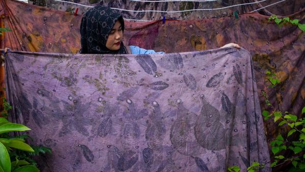 Intip Produksi Kain Ecoprint yang Raup Omzet hingga Puluhan Juta