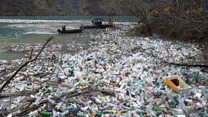 Kotor! Tumpukan Sampah Padati Danau di Serbia