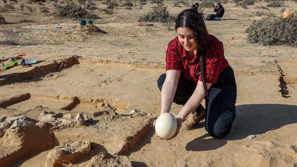 Potret Penemuan Telur Berusia 4.000 Tahun di Perbatasan Israel-Mesir