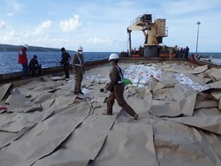 Balai Karantina Kupang Pastikan Beras Impor Asal Vietnam Layak Dikonsumsi