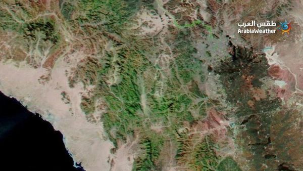 Foto Wajah Baru Arab Saudi yang Menghijau dari Satelit