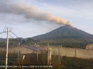 Gunung Kerinci Lontarkan Abu Setinggi 750 Meter ke Arah Sumbar Gunung Kerinci Lontarkan Abu Setinggi 750 Meter ke Arah Sumbar