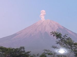 Gunung Semeru Erupsi Lagi, Asap Meletus Setinggi 700 Meter