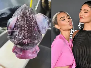Nelayan Tangkap Ikan Laut Dalam, Wujudnya Kok Mirip Kim Kardashian