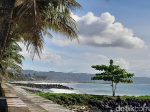 Kelapa Kopra dan Kisah Tragis Kades Pangandaran di Era Penjajahan Kelapa Kopra dan Kisah Tragis Kades Pangandaran di Era Penjajahan
