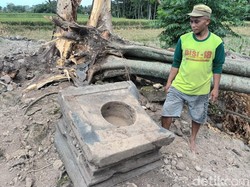 Pohon Doyo di Situs Candi Tlawong Boyolali Tumbang, 1 Yoni Pecah