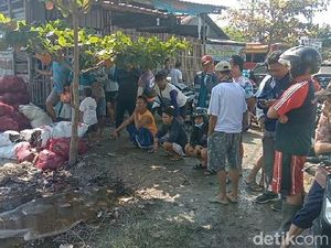 Sempat Kabur, 1 Anggota Komplotan Maling Motor di Kudus Ditangkap di Sawah