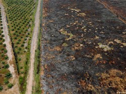 Malaysia Ancam Hentikan Ekspor Sawit ke Eropa!