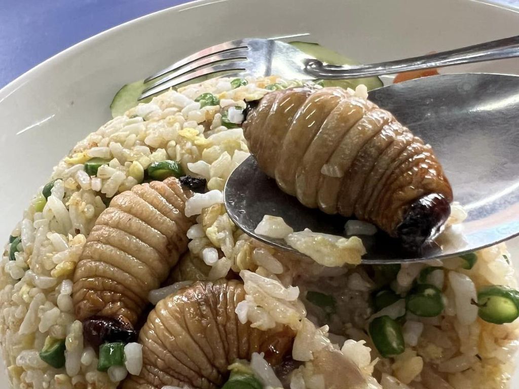 Mau Cicip? Restoran Ini Punya Nasi Goreng Ulat Sagu Rp 55 Ribu Mau Cicip? Restoran Ini Punya Nasi Goreng Ulat Sagu Rp 55 Ribu