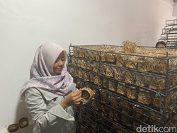 Toleransi Beragama dalam Manisnya Kue Keranjang di Momen Imlek