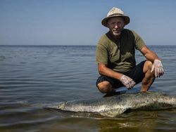 Perang di Ukraina Sebabkan Kematian Ribuan Penghuni Laut Hitam