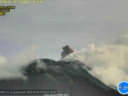 Gunung Ili Lewotolok NTT Erupsi, PVMBG Imbau Warga Pakai Masker