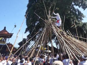 Cikal Bakal Tradisi Mekotek Desa Adat Munggu, Hanya Digelar Saat Kuningan Cikal Bakal Tradisi Mekotek Desa Adat Munggu, Hanya Digelar Saat Kuningan