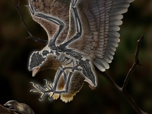 Fosil Burung Purba 120 Juta Tahun di China Punya Tengkorak Mirip T-Rex