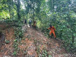 SAR Hentikan Pencarian Pria Hilang Misterius di Hutan Madina