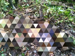 Hilang 3 Bulan, Warga Baturiti Tabanan Ditemukan Tinggal Kerangka